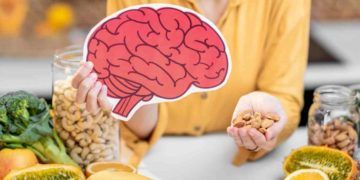 The 5 best foods to improve memory and concentration Harvard