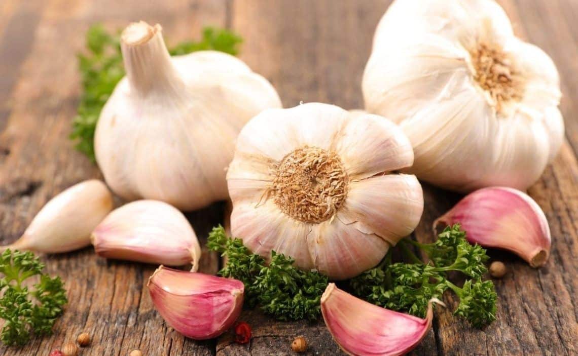 Garlic has been used since the beginning of recorded history for its alleged therapeutic effects.