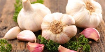 Garlic has been used since the beginning of recorded history for its alleged therapeutic effects.
