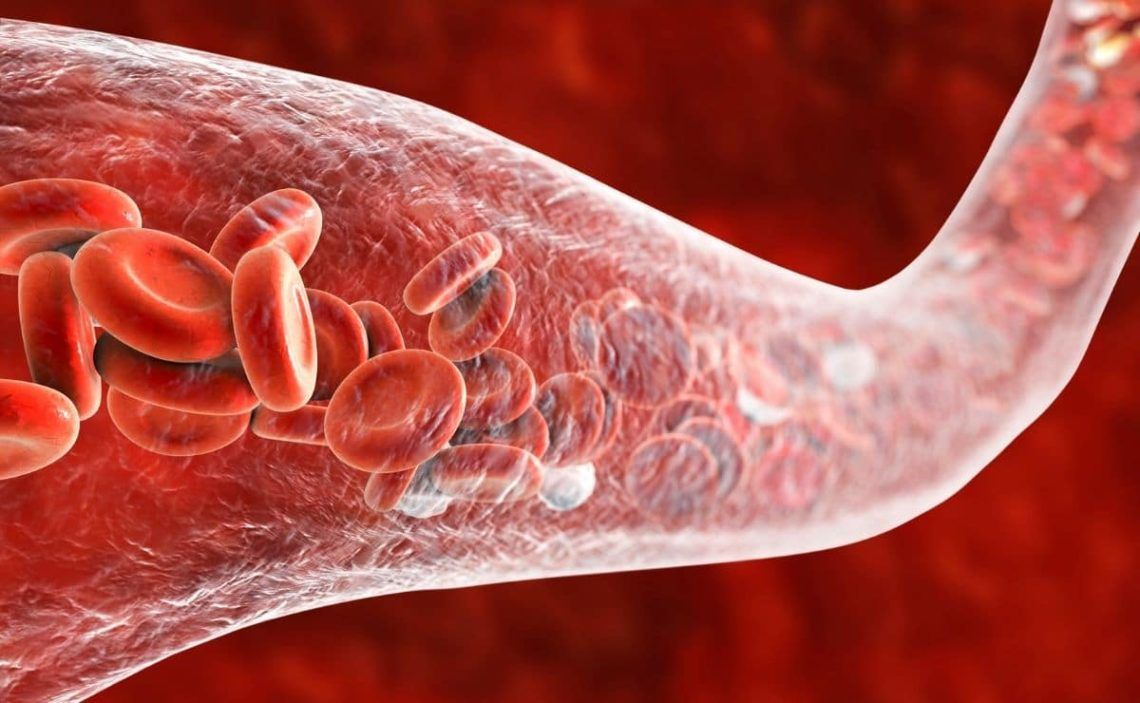 Blood circulation food women globules