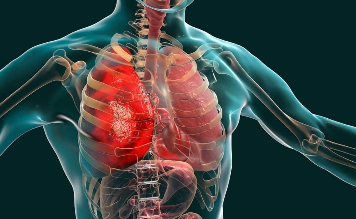 Moringa, beneficial for the respiratory system