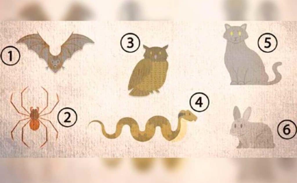 Viral quiz: Pick an animal and find out your true personality
