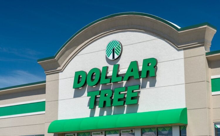 You can find new items in Dollar Tree