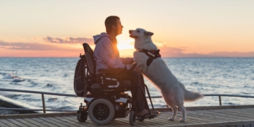 You must meet some requirements to get Disability Benefit payments