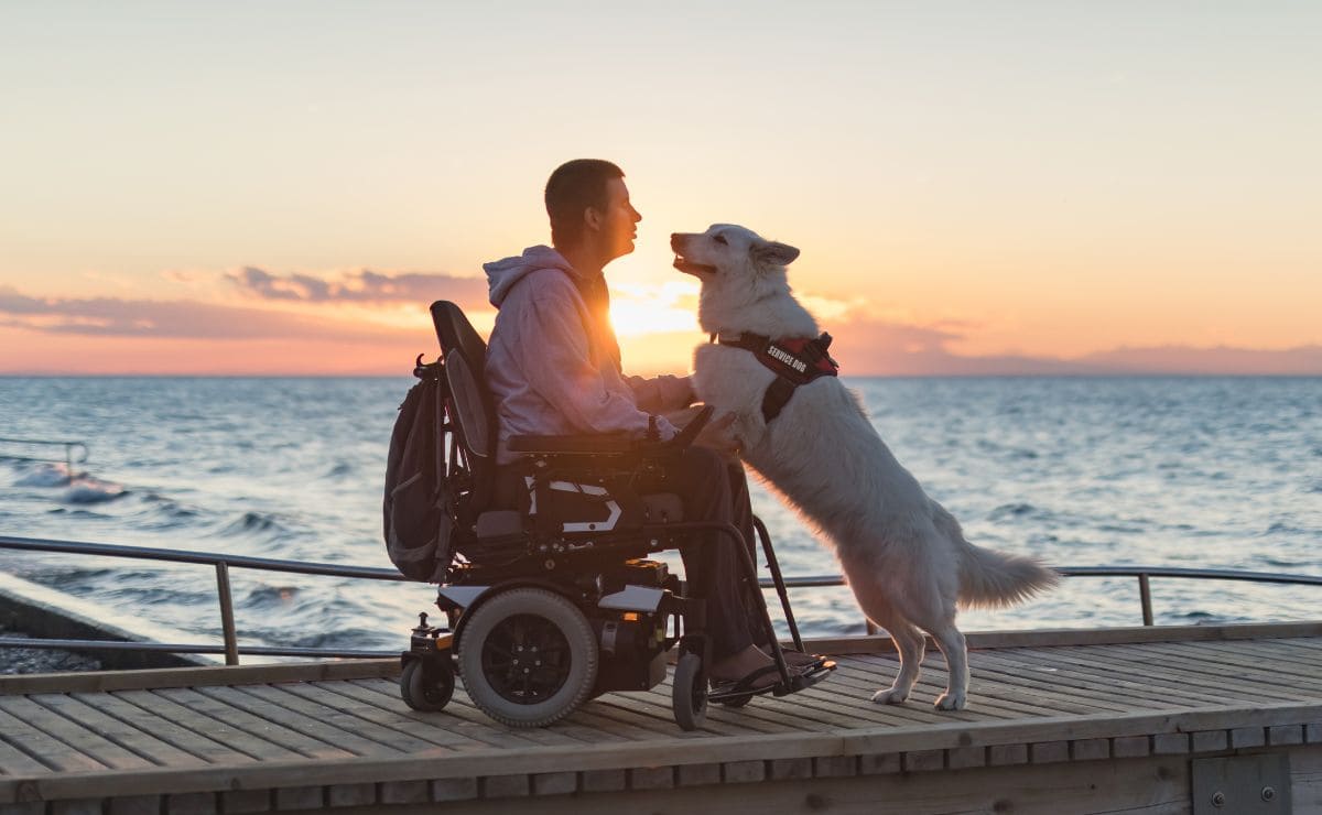You must meet some requirements to get Disability Benefit payments