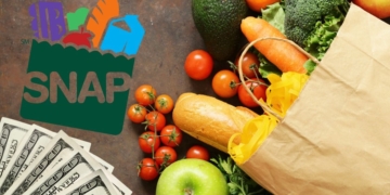 SNAP Food Stamps Benefits will arrive in November