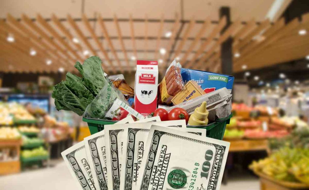 Store, basket with food and dollars to talk about SNAP benefits and using your EBT card at Costco