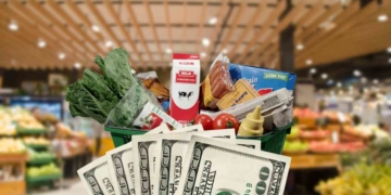 Store, basket with food and dollars to talk about SNAP benefits and using your EBT card at Costco