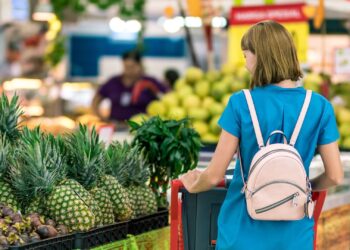 Getting soon the SNAP Food Stamps depends on the state we live