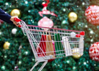 SNAP Food Stamps money could be used to buy Christmas food