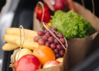 SNAP Food Stamps to arrive in this very week