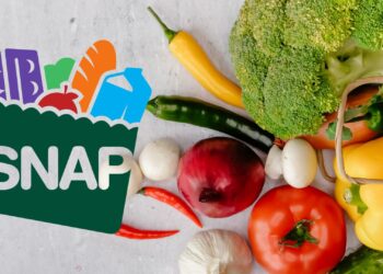 SNAP Food Stamps will be sent soon in some States