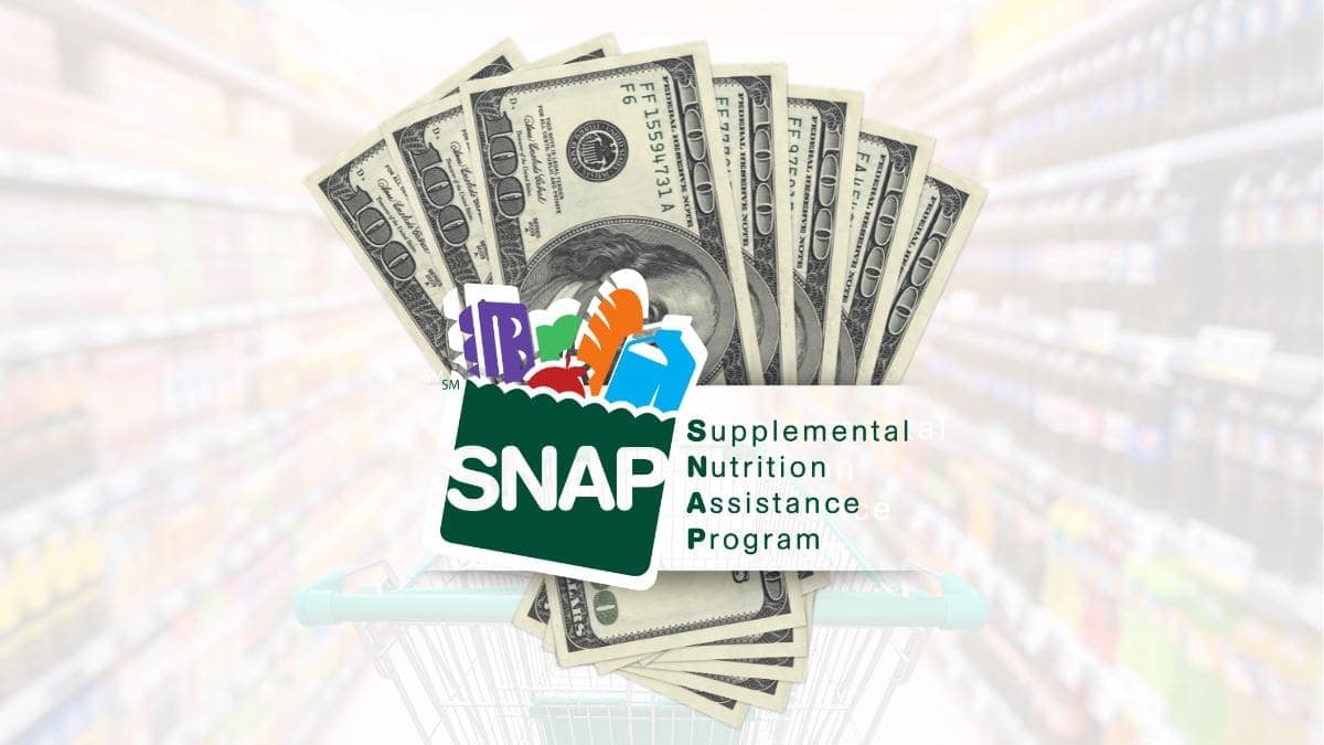 Pa Food Stamp Dates 2024 Shop