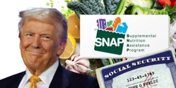 This is the best way to get SNAP and Social Security checks at the same time