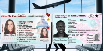 REAL ID in the USA: these are the requirements for traveling by plane with valid identification
