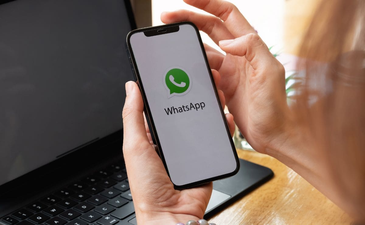 WhatsApp, web, ordenador, app, videollamada, aplicación