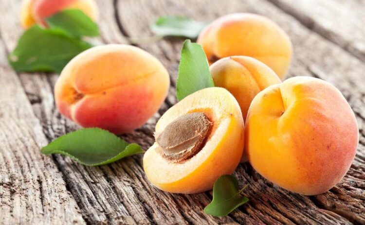 Albaricoque, fruta cargada de antioxidantes