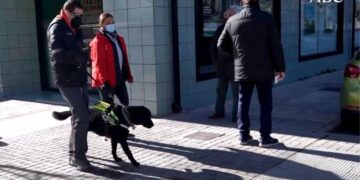 Alberto Villalba pasea junto a su perro guía por Teruel