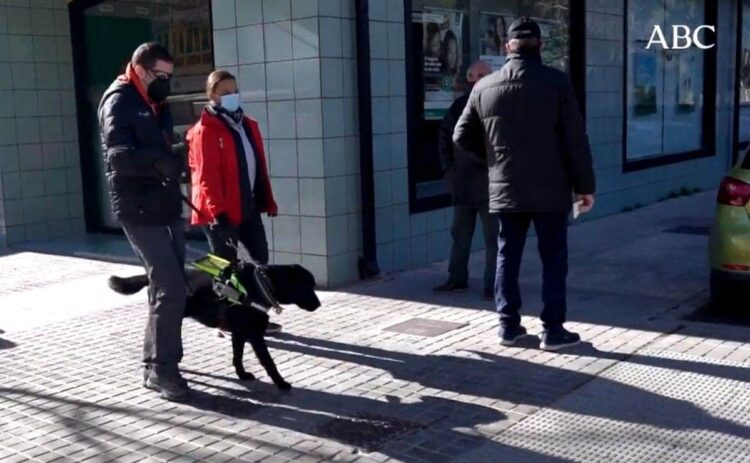 Alberto Villalba pasea junto a su perro guía por Teruel