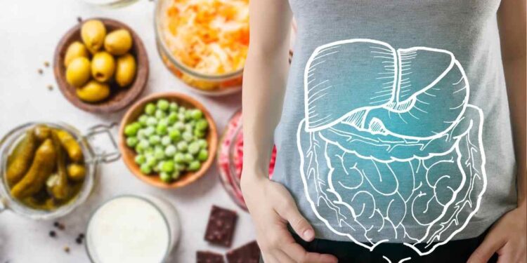 ¿Por qué los alimentos con probióticos pueden mejorar la salud?