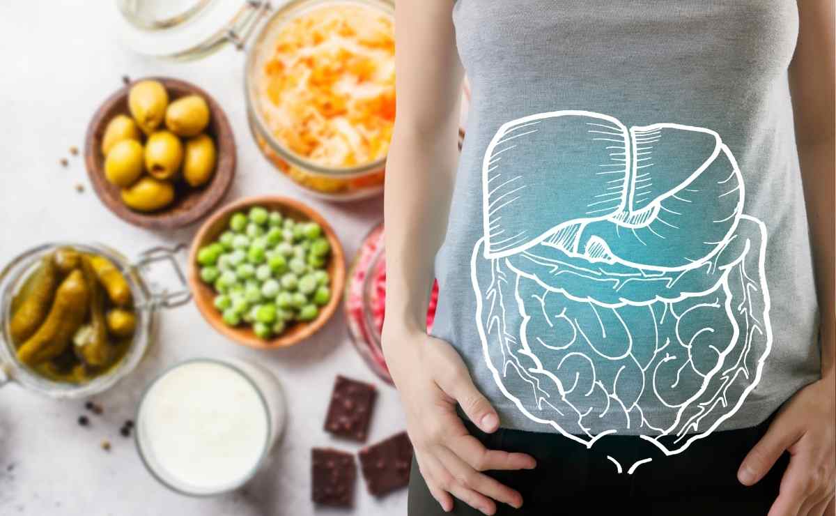 ¿Por qué los alimentos con probióticos pueden mejorar la salud?