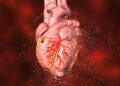 Alimentos riesgo cardiovascular