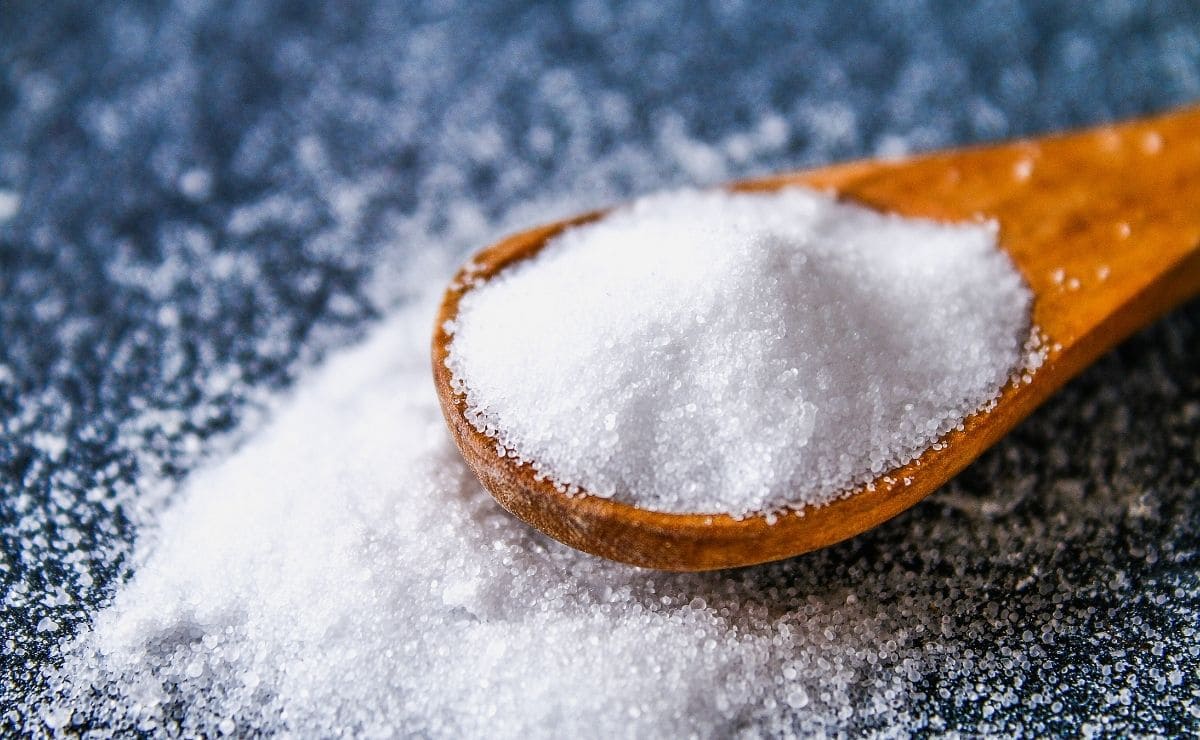 sal alimentos
