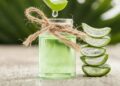 Estos son los beneficios del aloe vera en la digestión y para bajar los triglicéridos
