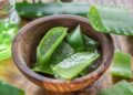 Aloe vera superalimento