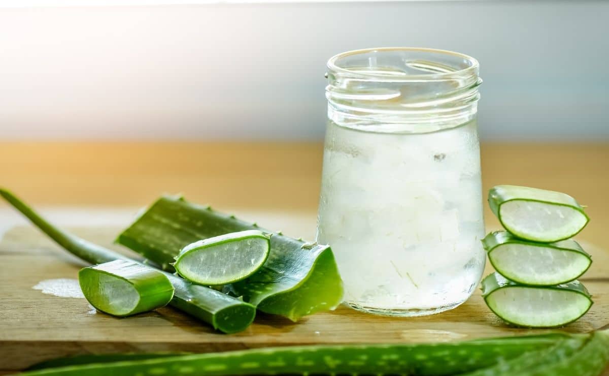 Aloe vera vitamina B12