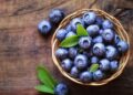Arándanos superalimento cicatrizacion y corazón