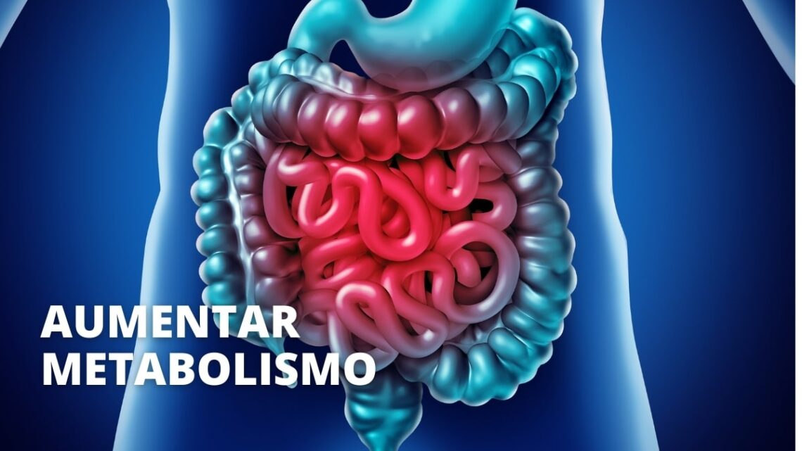 Aumentar metabolismo
