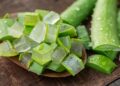 Beneficios de la cáscara de aloe vera