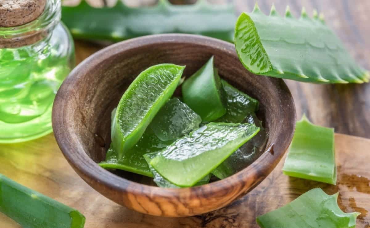 Beneficios de la cáscara de aloe vera