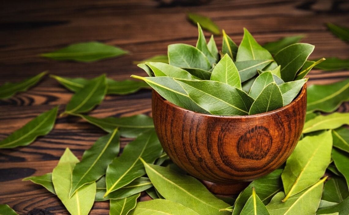 Beneficios salud hojas de laurel