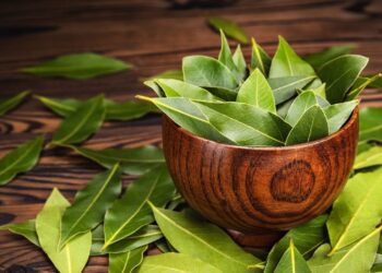 Beneficios salud hojas de laurel