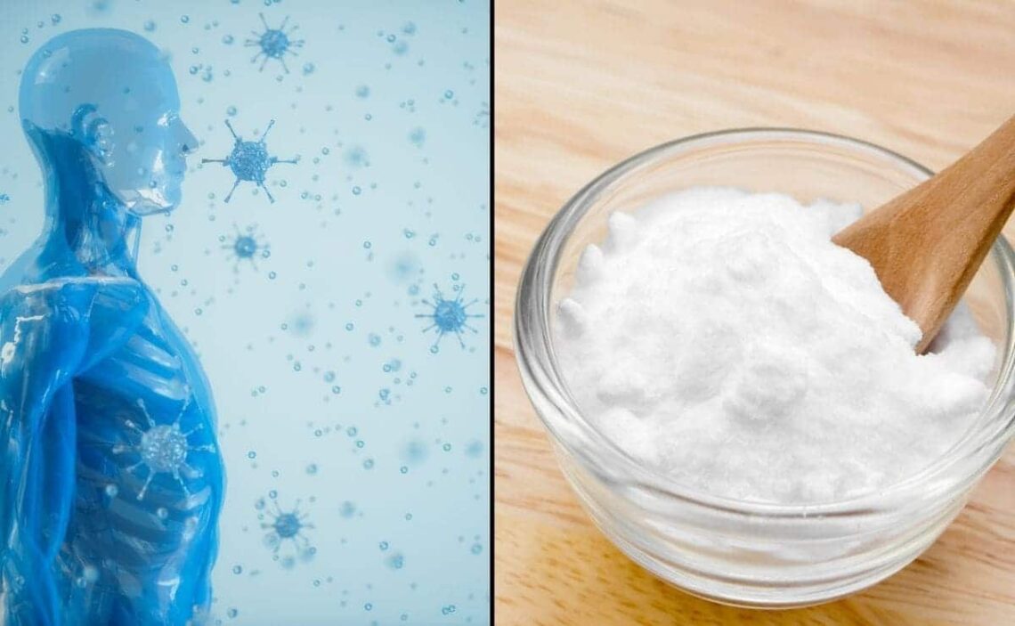 Bicarbonato sistema inmune