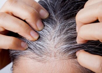 Canas jengibre ingrediente
