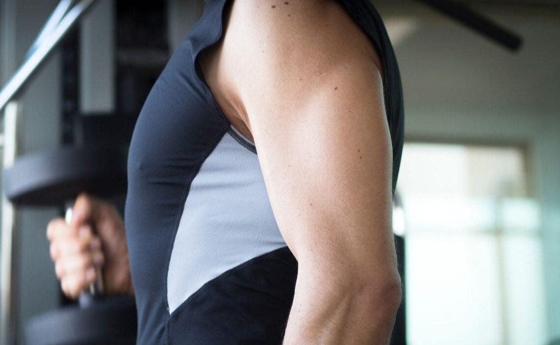 Carbohidratos masa muscular