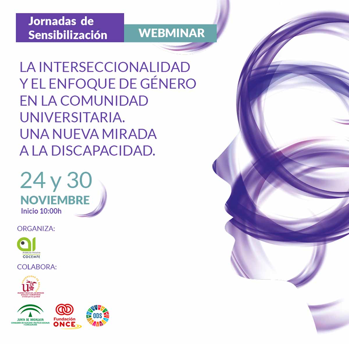 Cartel Webimar Andalucía Inclusiva Cocemfe