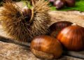Castañas otoño alimentos