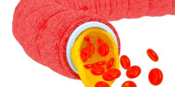 Superalimento pipas girasol reducir el colesterol