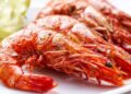 Comer cabeza de langostino aumenta niveles de Acido Urico