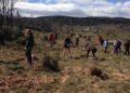 Correos ayuda en la reforestación de bosques