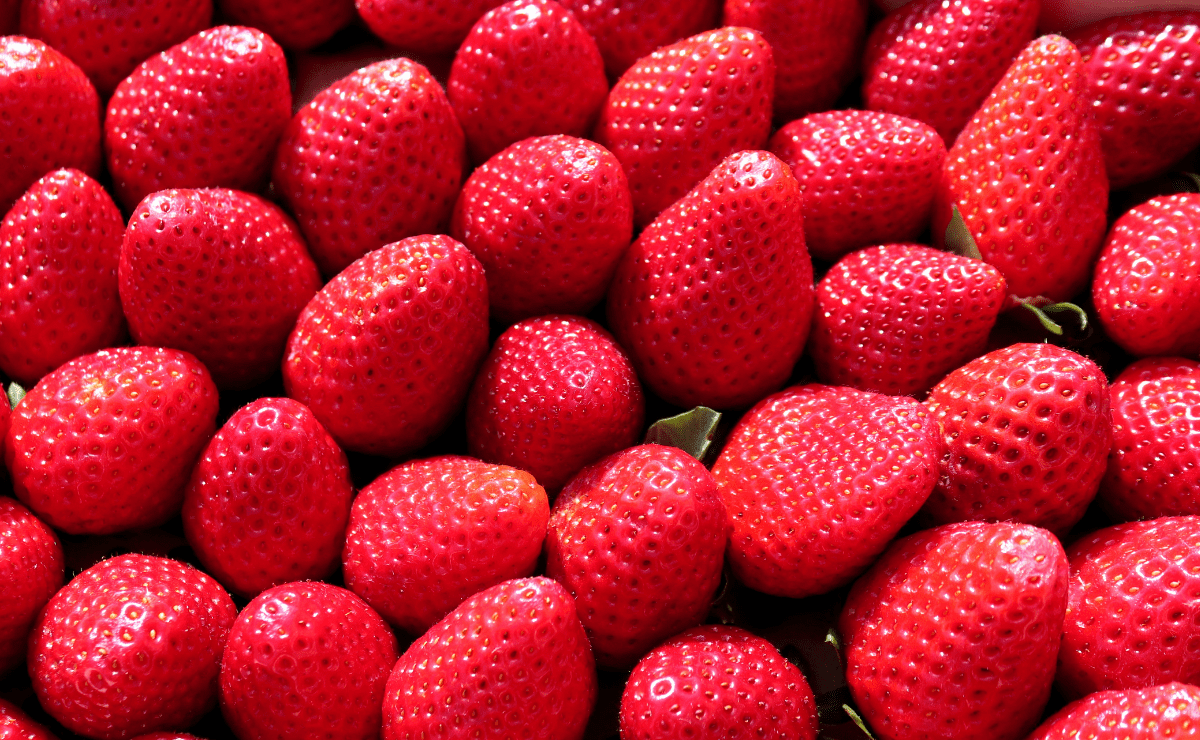 Así puedes conservar tus fresas más tiempo