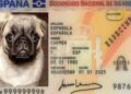 DNI Mascotas perro gato