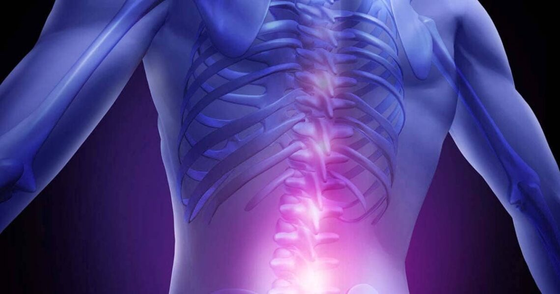 Desarrollan microelectrodos que permiten el movimiento estimulando la médula espinal