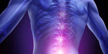 Desarrollan microelectrodos que permiten el movimiento estimulando la médula espinal