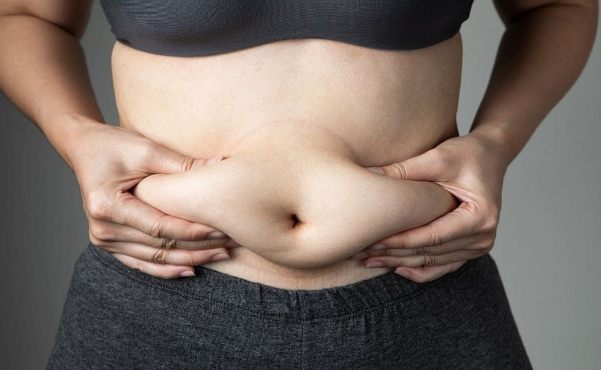 Dieta Cero Barriga grasa abdominal adelgazar