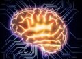 Dormir poco afecta a la capacidad cognitiva
